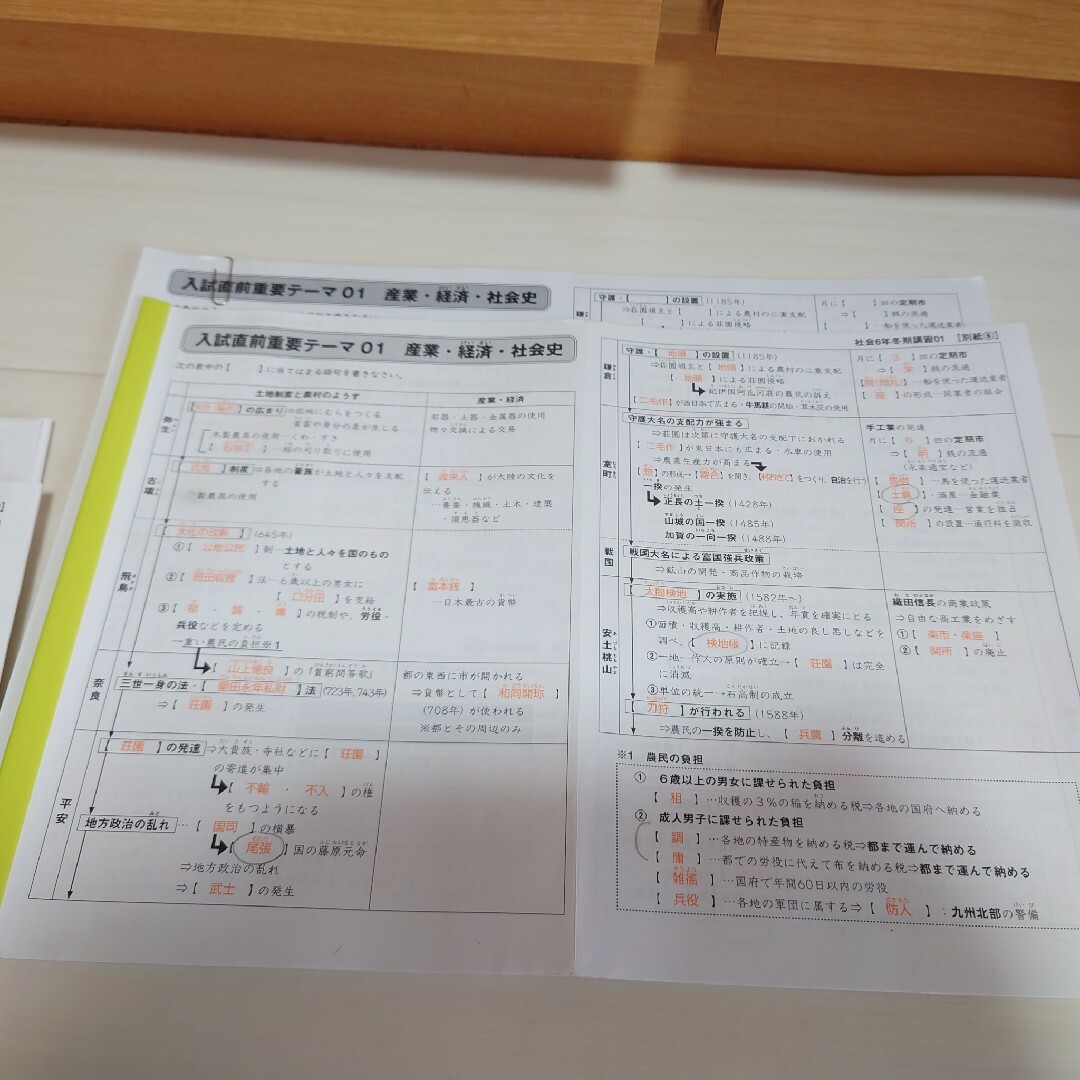 専用 SAPIX サピックス6年 社会 暗記全網羅 中学受験 地理•歴史•公民の