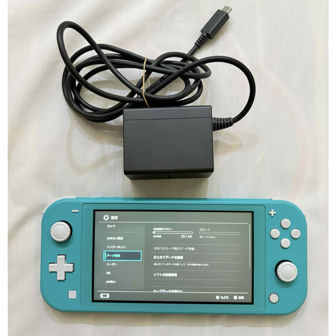 Nintendo Switch Lite SDカード、電源アダプター、ケース付き Nintendo