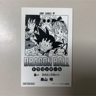 2396209224.jpg?1728424901