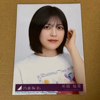 2398470054.jpg?1728631484