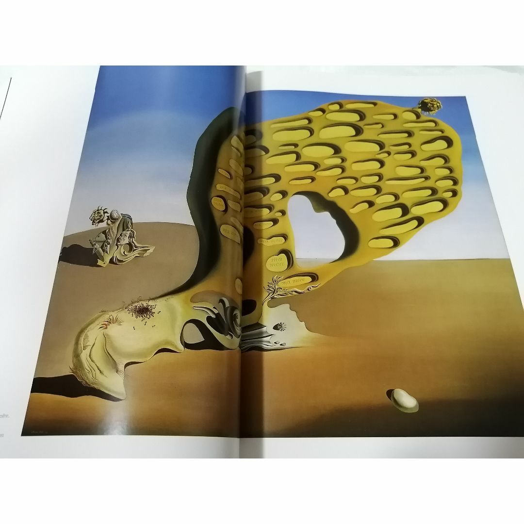 サルバドール・ダリ作品集の通販 by ヤマザブトン｜ラクマ