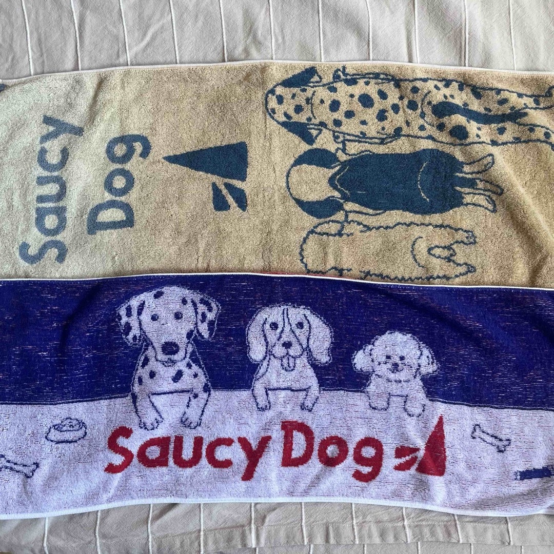 saucy dog フェイスタオル 2枚セットの通販 by 3rieshop｜ラクマ
