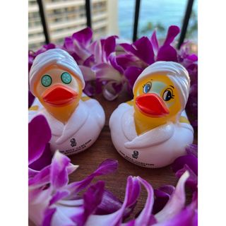 2686926624.jpg?1727158055