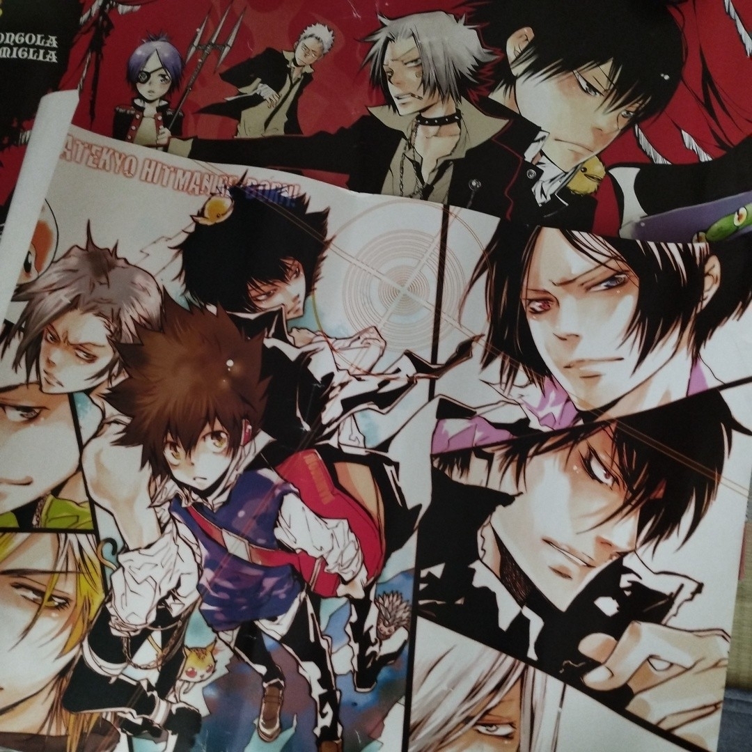 家庭教師ヒットマンREBORN!ポスター2枚の通販 by ふるべるフリマ｜ラクマ