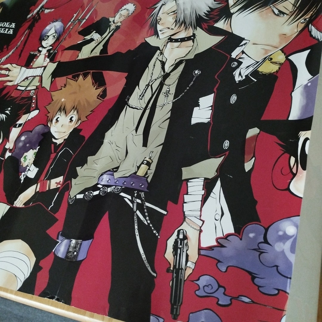 家庭教師ヒットマンREBORN!ポスター2枚の通販 by ふるべるフリマ｜ラクマ