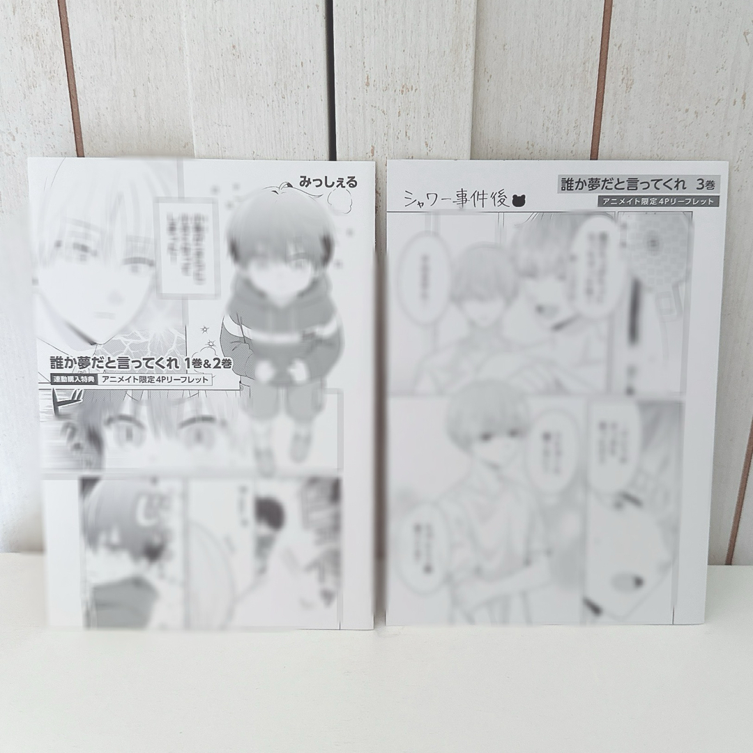 みっしぇる 誰か夢だと言ってくれ アニメイト 特典 リーフレット 2冊