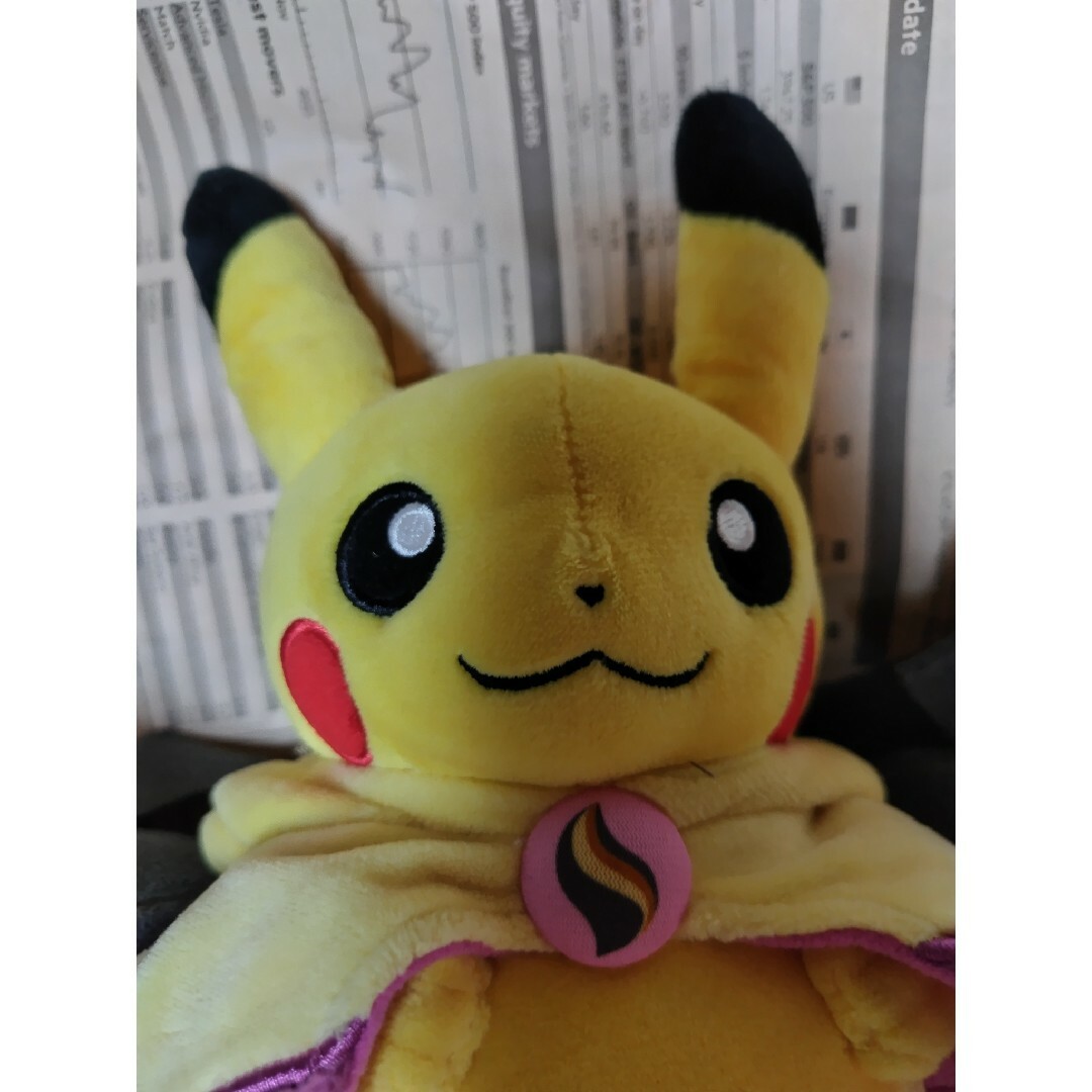 ポケモン - ポケモンセンター ピカチュウ メガクチート ぬいぐるみの