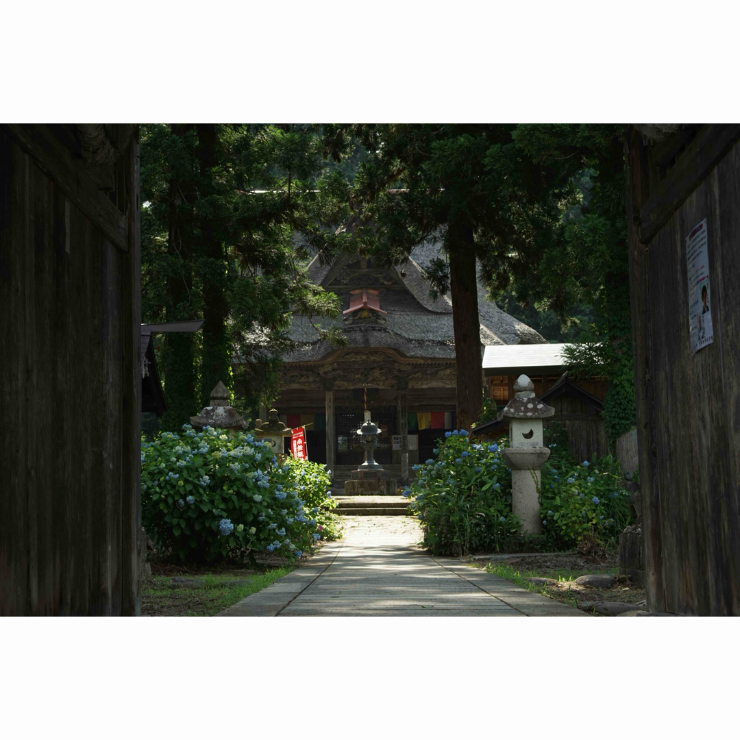 Kenko Tokina - 作例付き RMC TOKINA 28-85mm F4 OM 管mprの通販 by