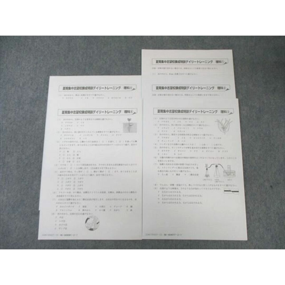 サピックス 3年 デイリー/夏期・冬期/算基礎トレ 2019年版 中古