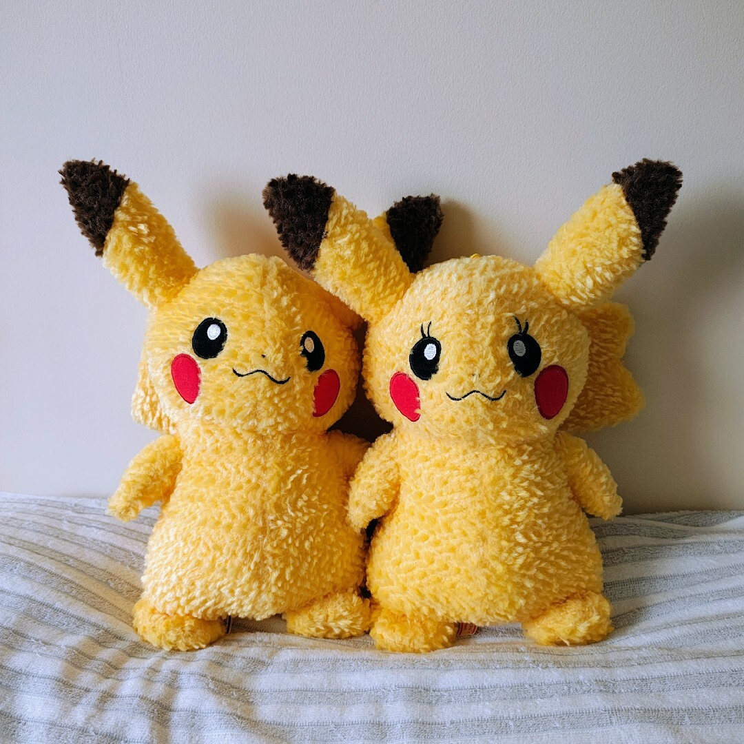 ポケモン - 美品 ピカチュウクローゼット オス・メス2体セット