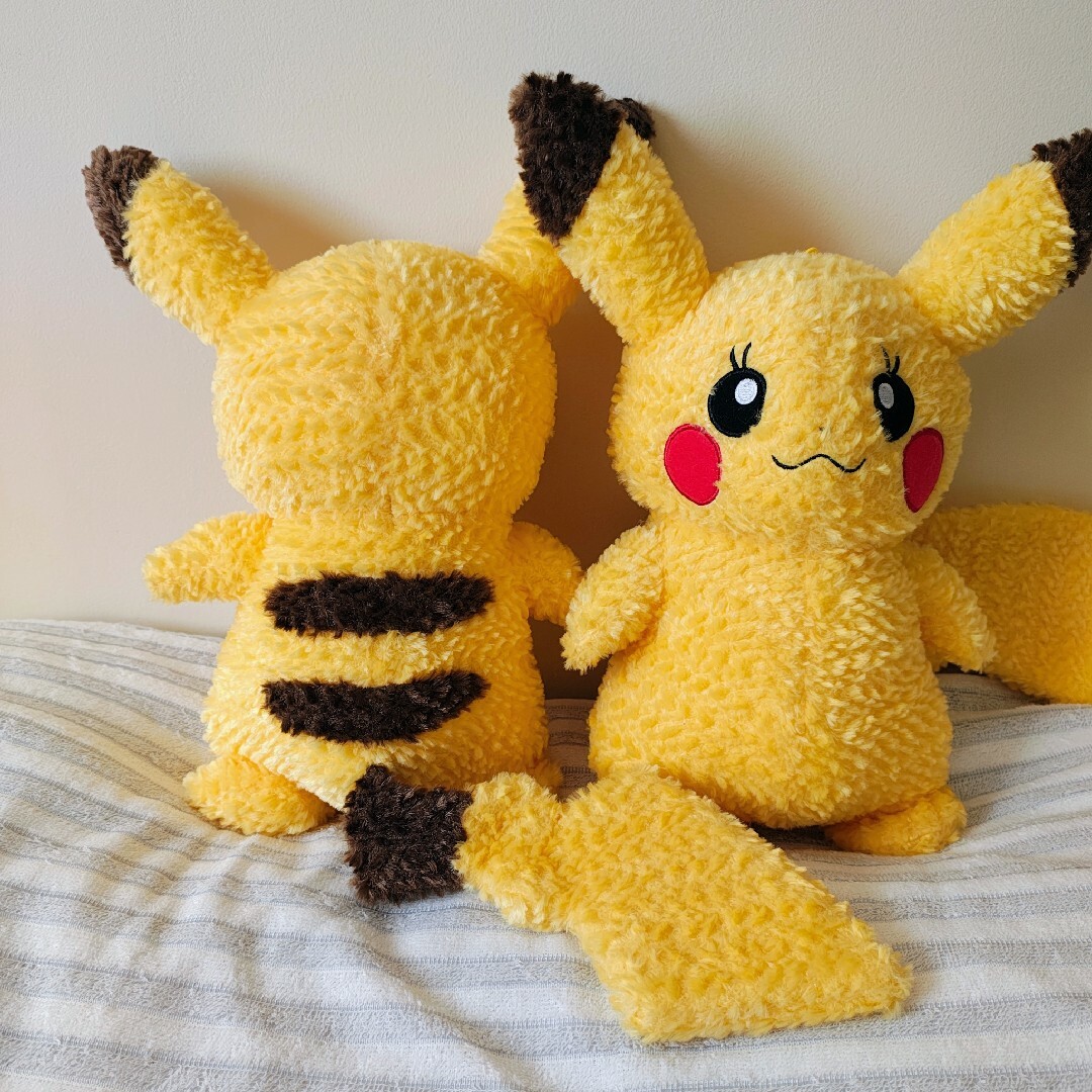 ポケモン - 美品 ピカチュウクローゼット オス・メス2体セット