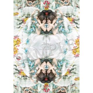 AIMER - 鬼滅の刃 未開封 Aimer 残響散歌 メガジャケ 宇髄天元の通販