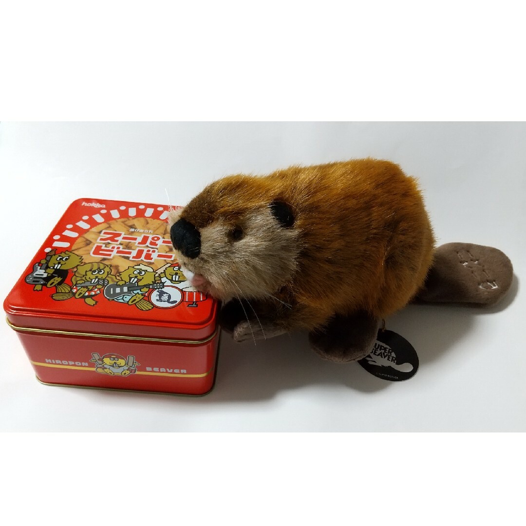 SUPER BEAVER スーパービーバー ビーバーちゃん＆空き缶の通販 by 筆記