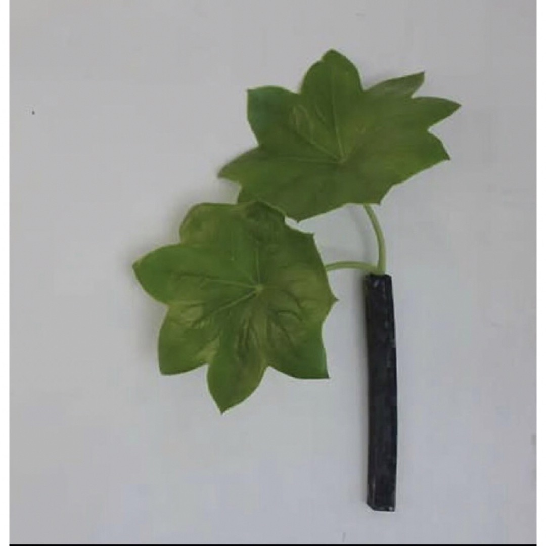 石上照美さん 一輪挿し 石上照美さん 一輪挿し