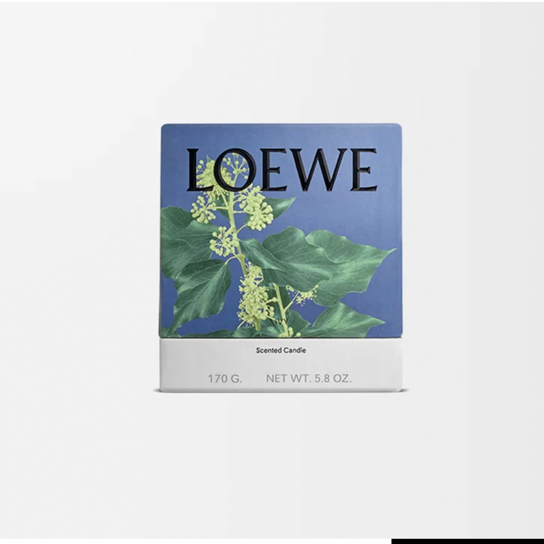 LOEWE - ロエベ アイビーキャンドル スモールの通販 by qqqdsi's shop