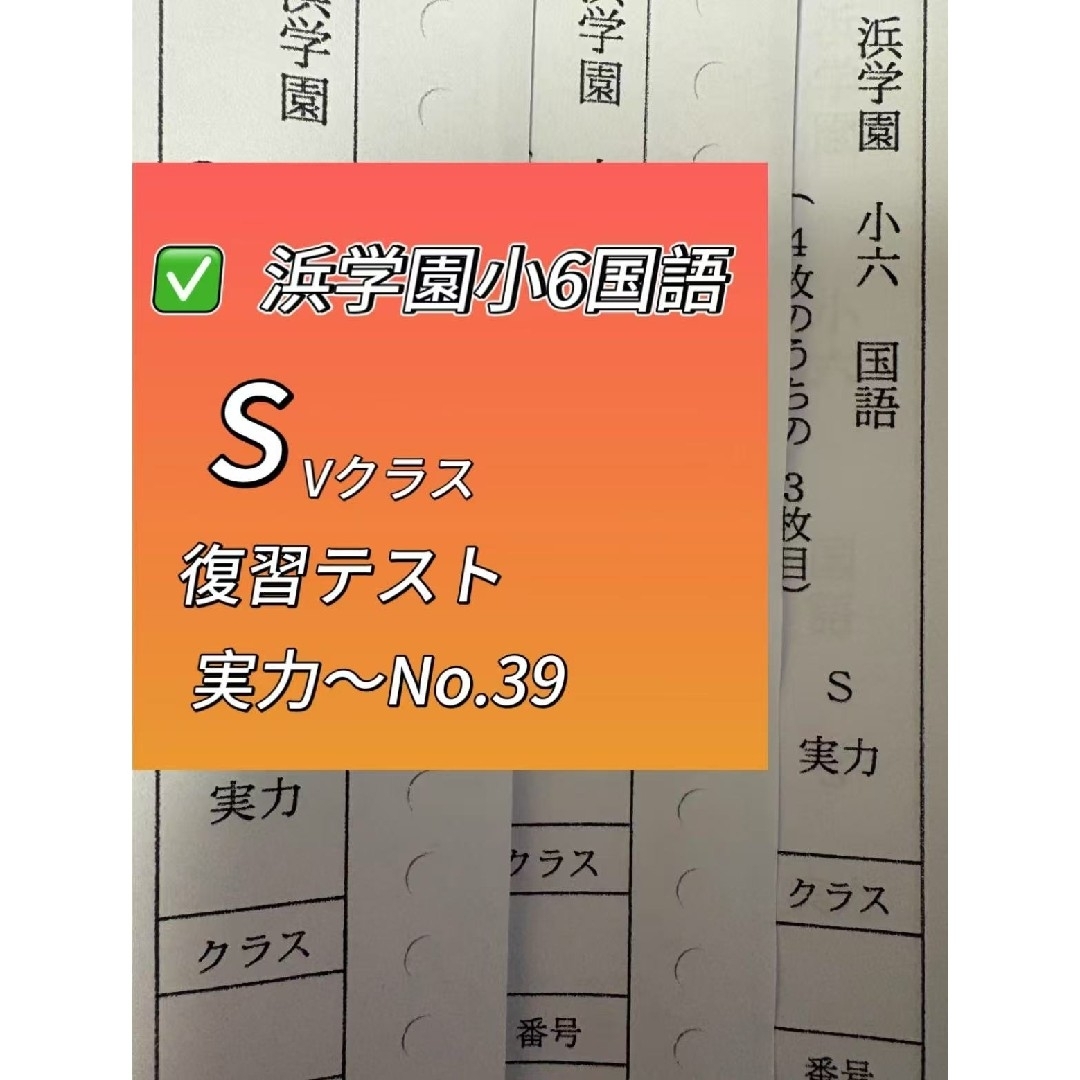 浜学園 小6 マスター Vクラス 復習テスト 4教科 国語 算数 理科 社会p