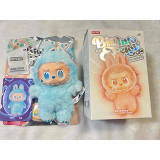 ⑨アトリエトヨコ きのこのこ ⑨アトリエトヨコ きのこのこ