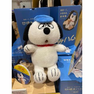 2676910927.jpg?1757489396