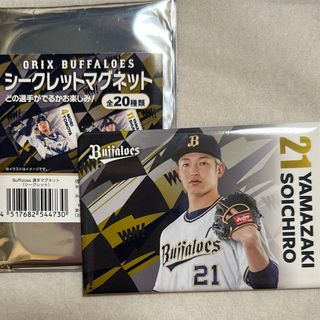 オリックス・バファローズ - オリックス 選手直筆サイン色紙 森友哉