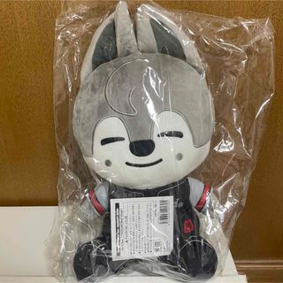 Stray Kids - StrayKids スキズ エコパ バンチャン ウルフチャン