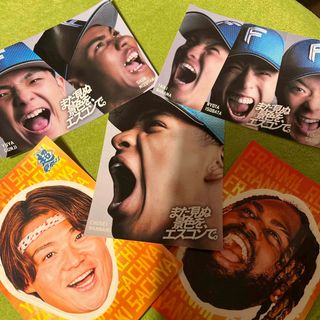 北海道日本ハムファイターズ - 大谷翔平サイン色紙 ファイターズ時代1