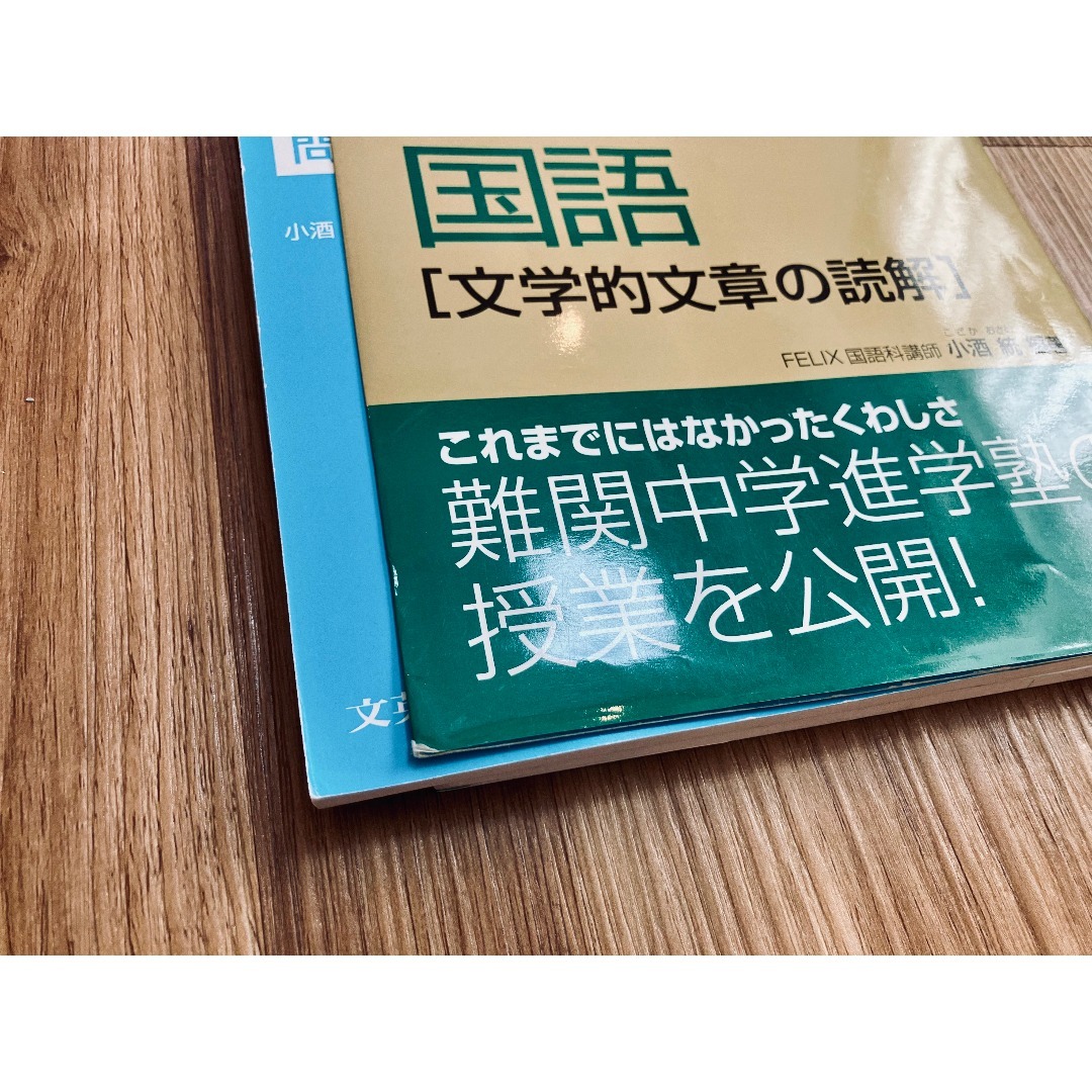 未使用未記入】塾で教える国語 論理的文章の読解 文学的文章の読解