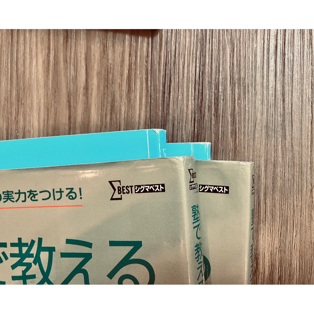 未使用未記入】塾で教える国語 論理的文章の読解 文学的文章の読解