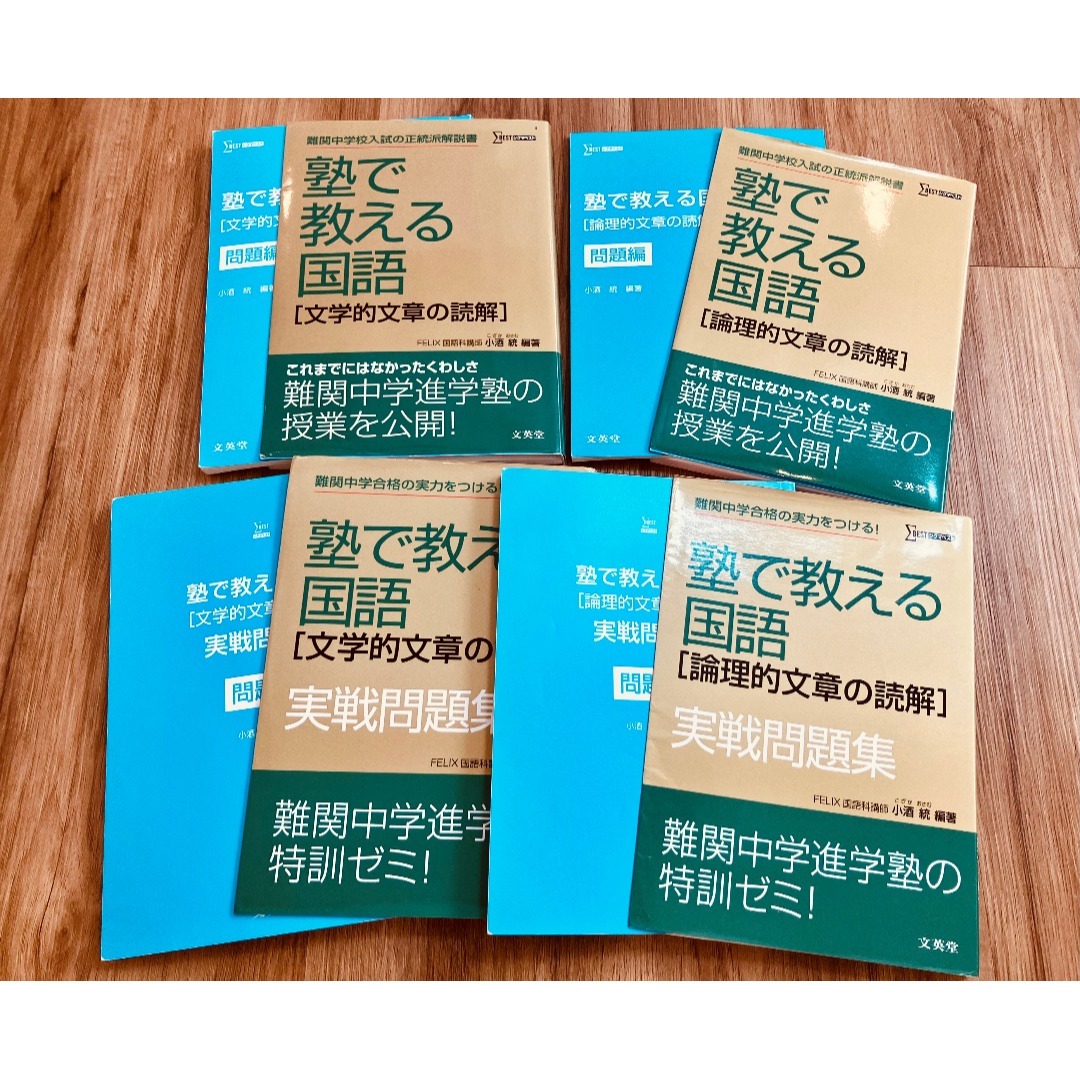 未使用未記入】塾で教える国語 論理的文章の読解 文学的文章の読解