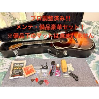 MORRIS - レア Morris Rumbler MR1エレアコ グリーン アコギもOK！の