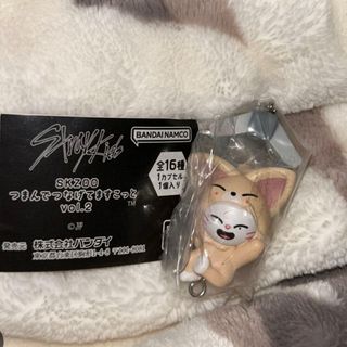 Stray Kids - 【新品未使用】スキズ チャンビン ポラロイド skzooの