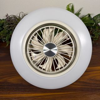 ピーターアイビー PETER IVY 照明 Light Capsule Sの通販 by J's shop