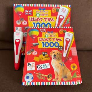 小学館 - MAJOR 満田拓也 サイン入りミニ色紙の通販 by まっすぅ's