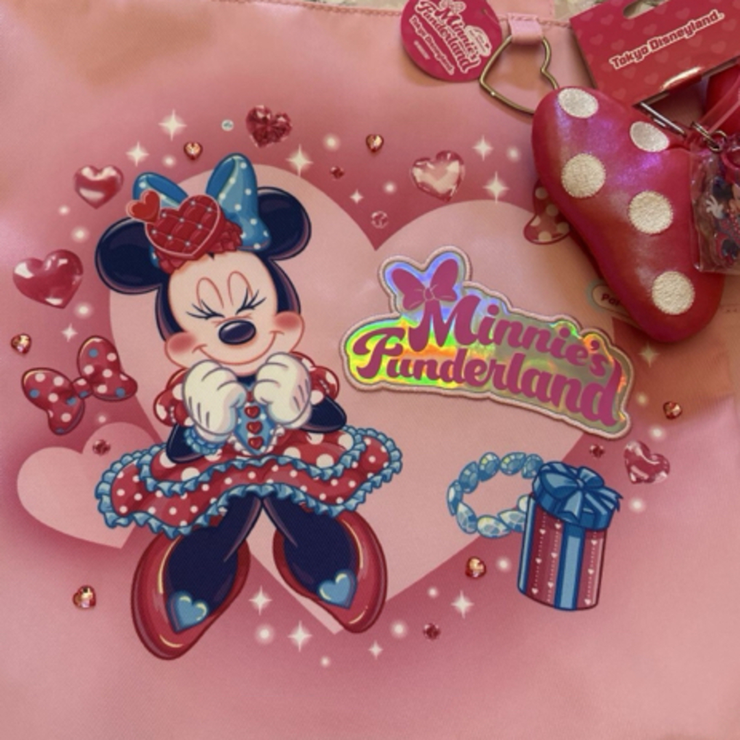 ミニーマウス - ディズニーパルパルーザ🎀ミニファンダーランド