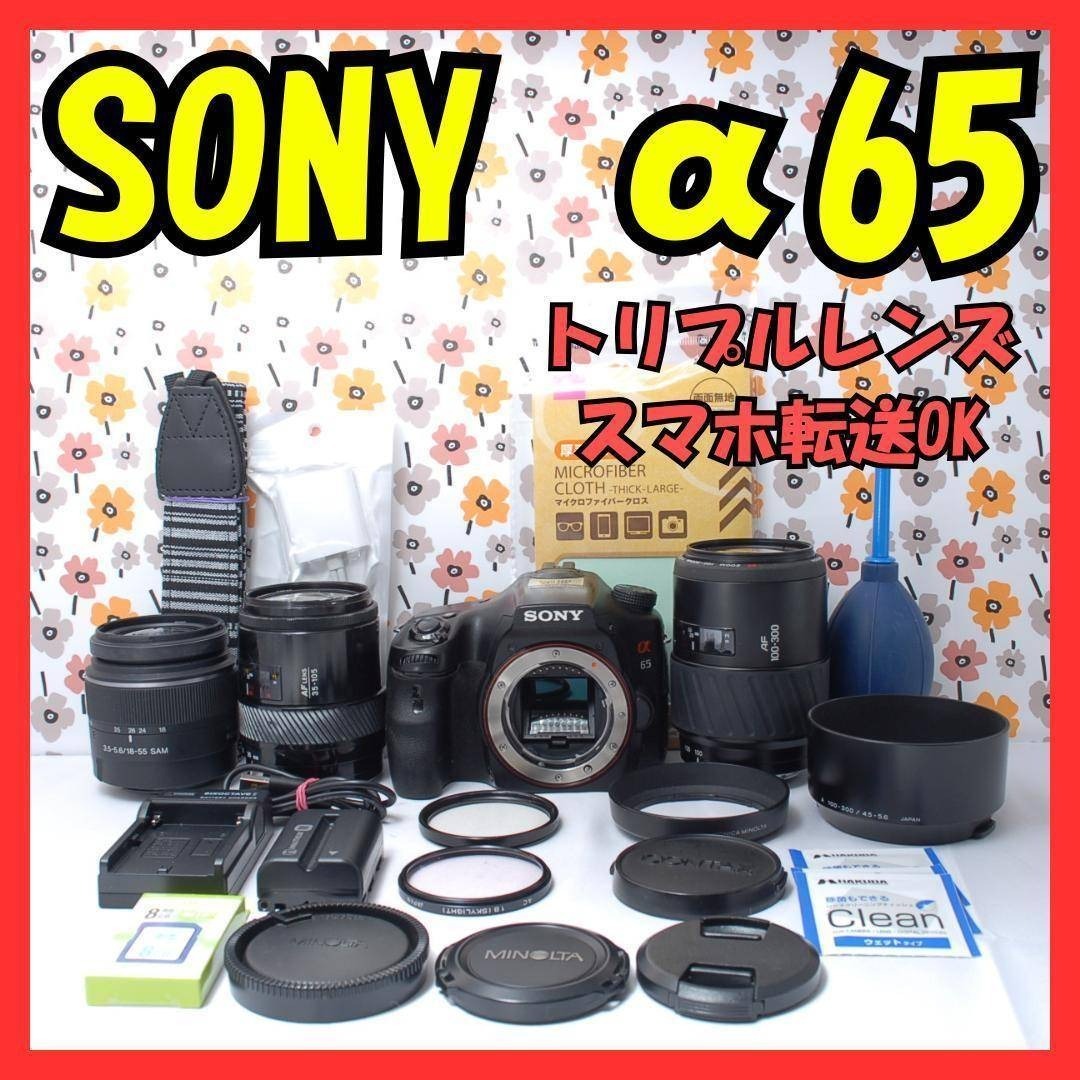 SONY - ❤SONY α65❤トリプルレンズ❤超望遠❤超高画質❤1秒10コマの