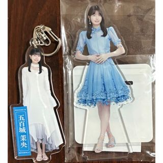 乃木坂46 - 絶望の一秒前 井上和 5種コンプ 乃木坂46 生写真の通販 by