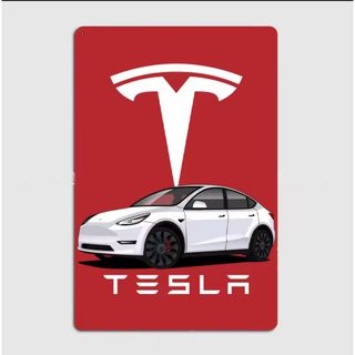 テスラ プレートのフリマアイテム一覧