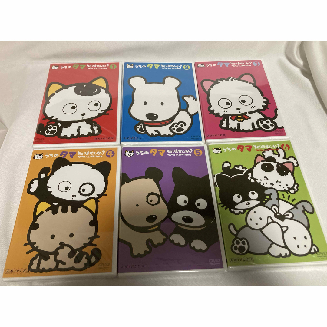 うちのタマ知りませんか? 20周年記念プレミアムDVD-BOX〈2000セット