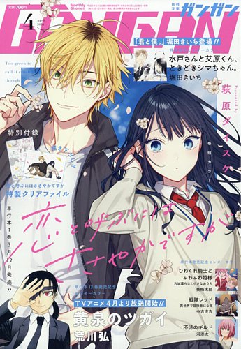 月刊少年ガンガン 1995年号 12冊まとめ売り 月刊少年ガンガン 1995年号