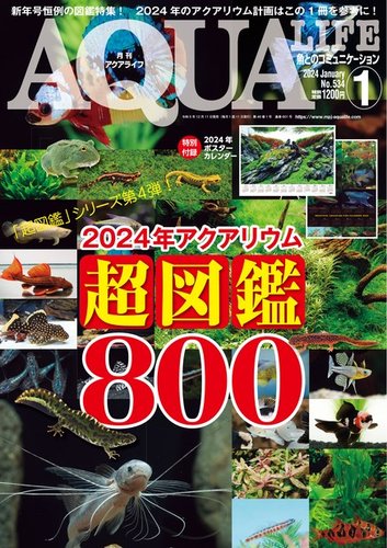 アクアライフ 1月号 (発売日2023年12月11日) | 雑誌/電子書籍/定期購読