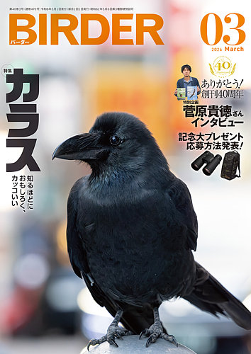 BIRDER（バーダー）の最新号【2026年3月号 (発売日2026年02月16日