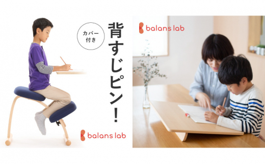 №5308-0231]バランスイージー カバー付き 選べる カラー 姿勢強制イス
