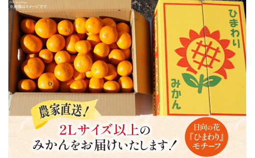 期間限定発送】 みかん 2L サイズ以上 石地みかん 5kg [ひまわり農園