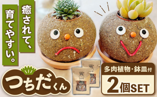 つちだくん2個セット 多肉 ポット セット 愛西市 / 花のひより園