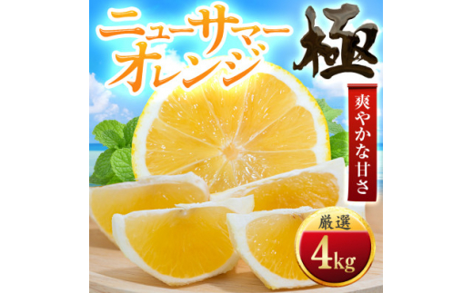 太陽をたっぷり浴びた＞ニューサマーオレンジ＜極＞4kg＜C49-57＞_