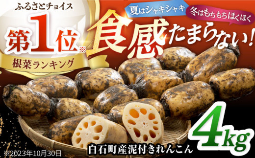 2026年1月以降発送】白石町産 泥付きれんこん （4kg） 【佐賀県農業