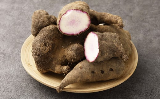 AS-2143 希少！鹿児島県産 紫山芋 約3kg 【2024年11月下旬より順次発送