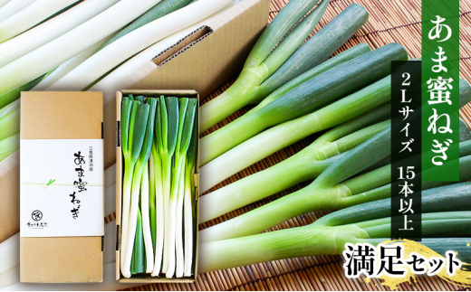 あま蜜ねぎ 満足セット【野菜 ねぎ ネギ 長ネギ】 - 三重県津市