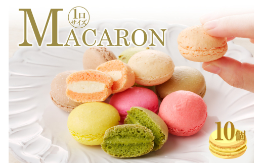マカロン30個入（30種類） / 愛知県高浜市 | セゾンのふるさと納税