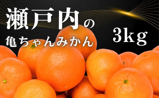 2/15で終了】 [11～2月発送] 瀬戸内の亀ちゃん みかん 約3kg 国産