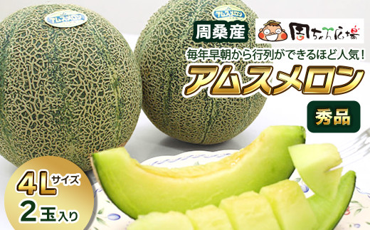 周ちゃん広場より直送 周桑産アムスメロン（秀品） 4Lサイズ2玉入り